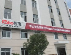 建筑外墻涂料，就得名副其“石”！