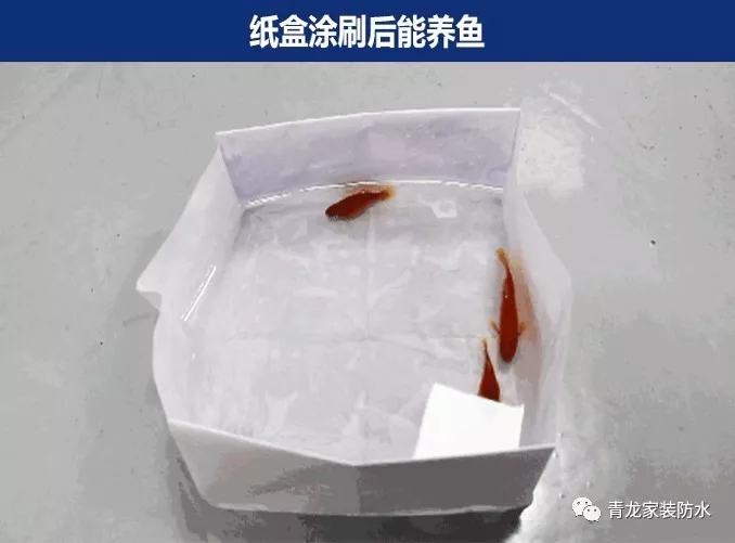 衛(wèi)生間滲漏維修太復(fù)雜，用這種產(chǎn)品老師傅都驚呼神奇！[附視頻](圖1)